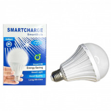 Світлодіодна лампа LED E27 12W з акумулятором