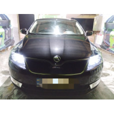 Зимняя решетка (верхняя) Глянцевая для Skoda Rapid 2012-2019 гг