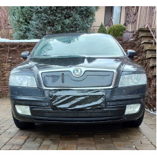 Зимняя накладка на решетку (нижняя) Матовый для Skoda Octavia II A5 2006-2010 гг