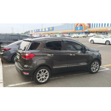Молдинг дверей (4 шт, нерж) для Ford Ecosport 2013-2022 рр