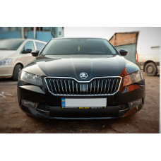 Зимняя накладка на решетку (нижняя) Глянцевая для Skoda Superb 2015-2024 гг