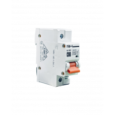 Автоматический выключатель Right Hausen 1P C 80A HN-401041 NEW