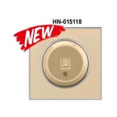 Розетка RIGHT HAUSEN LAURA 1-я компьютерная золото HN-015118 NEW