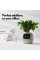 Інтерактивний розумний горщик для рослин Ivy Smart Planter Tuya AI, Green