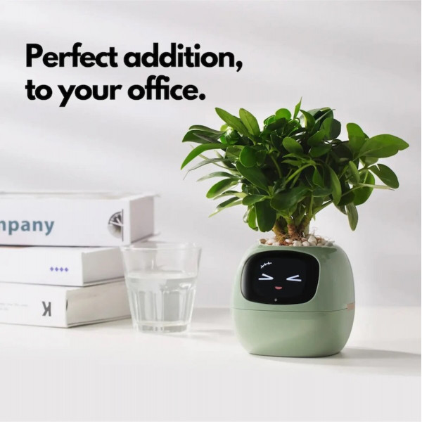 Інтерактивний розумний горщик для рослин Ivy Smart Planter Tuya AI, Green
