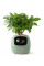 Інтерактивний розумний горщик для рослин Ivy Smart Planter Tuya AI, Green