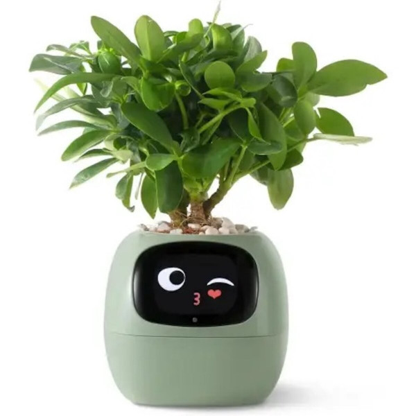 Інтерактивний розумний горщик для рослин Ivy Smart Planter Tuya AI, Green