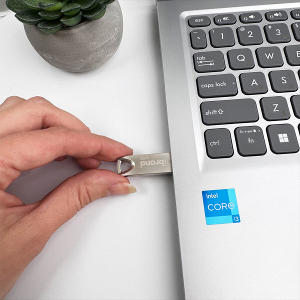 Флеш-накопичувач Wibrand USB 2.0 Taipan 32Gb Silver