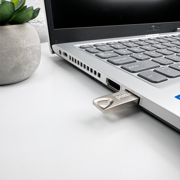 Флеш-накопичувач Wibrand USB 2.0 Taipan 32Gb Silver