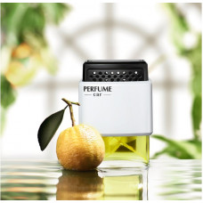 Освіжувач рідкий на обдув 10ml - "BUSHINECO" XD-01 White "Cмак зустрічі"