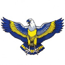 Наліпка "Орел" 13*30 см Жовто-синя (1шт) велика
