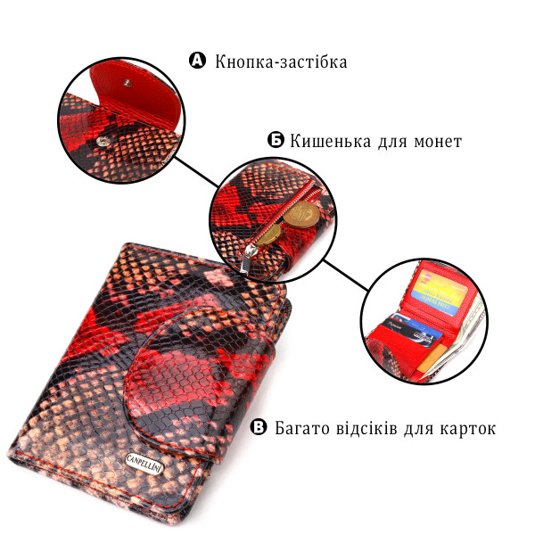 Небольшой женский кошелек из натуральной кожи с тиснением под змею CANPELLINI 21667 Разноцветный